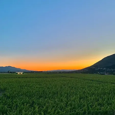 Apartment View6 *